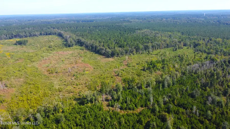 River Bend Road, Columbia, MS 39429 - #2