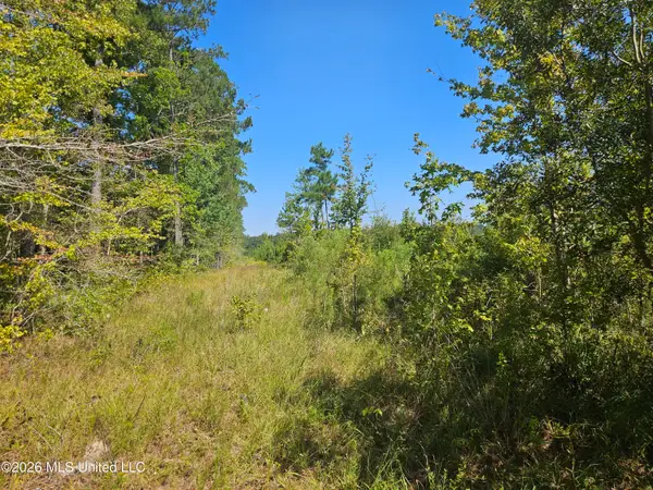 River Bend Road, Columbia, MS 39429