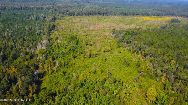 River Bend Road, Columbia, MS 39429