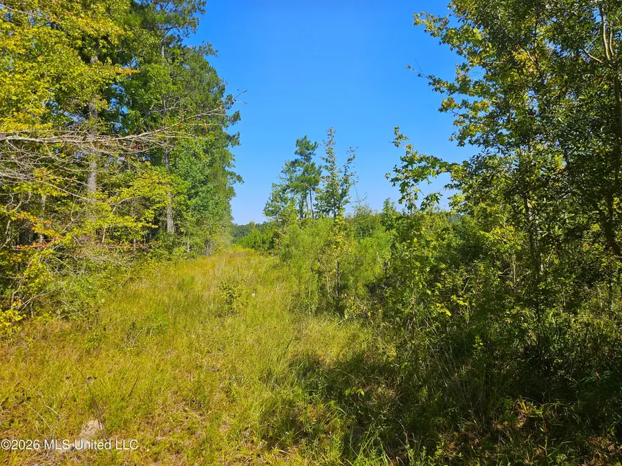 River Bend Road, Columbia, MS 39429 - #3