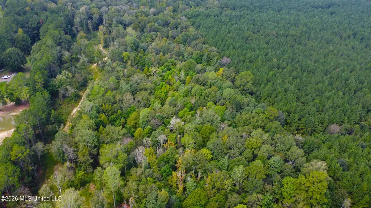 River Bend Road, Columbia, MS 39429 - #1