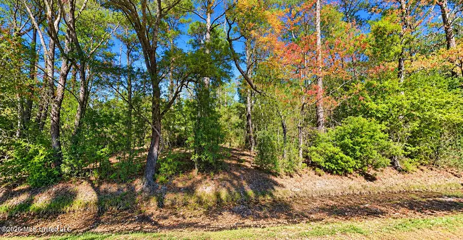 Browns Village Road, Slidell, LA 70460 - #2