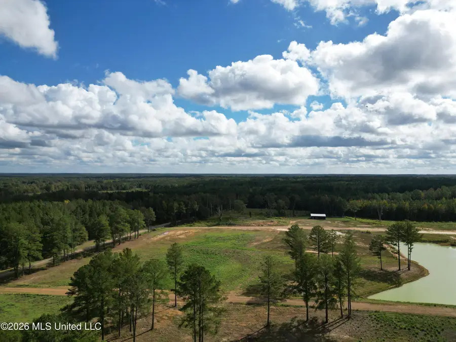 Lot 4 Sulphur Springs Road, Canton, MS 39046 - #2