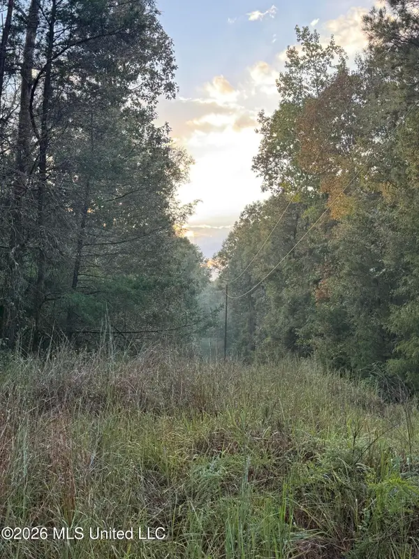 County Road 4167, Sallis, MS 39160