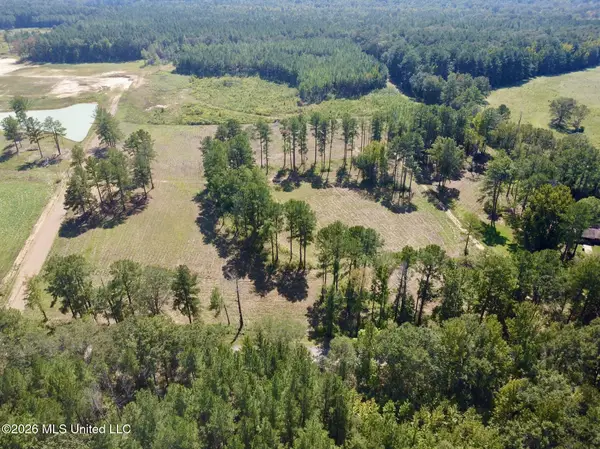 Sulphur Springs Road, Canton, MS 39046