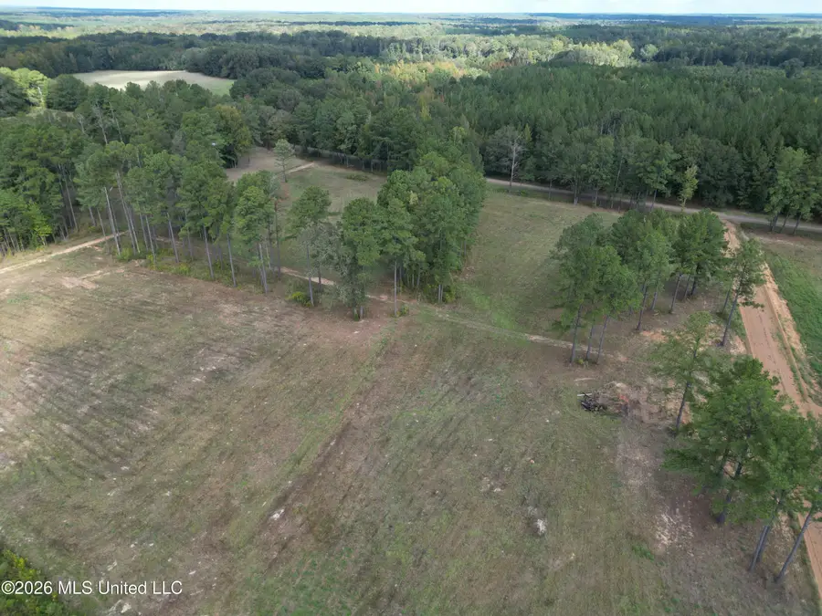 Lot 1 Sulphur Springs Road, Canton, MS 39046 - #3