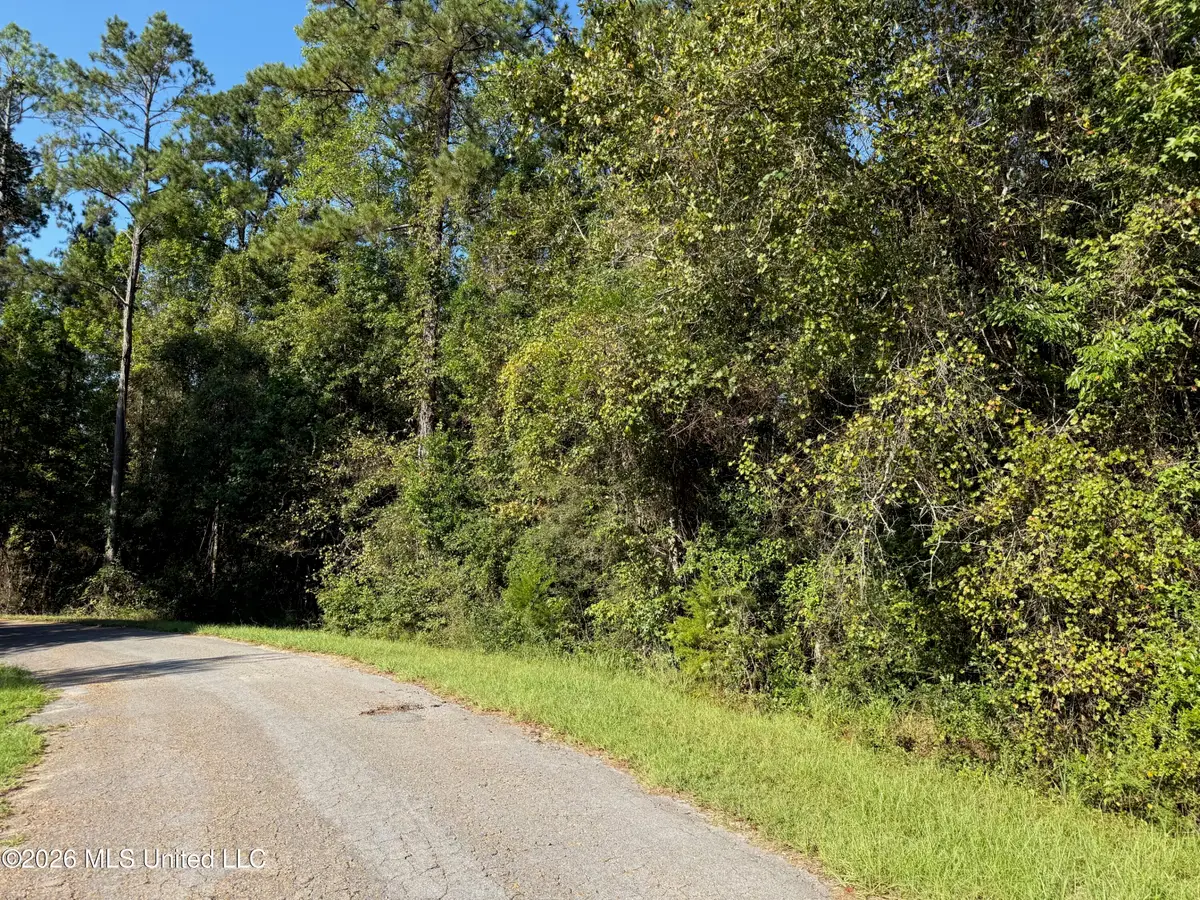 7 +/- Ac Fork Road, Lucedale, MS 39452 - #1
