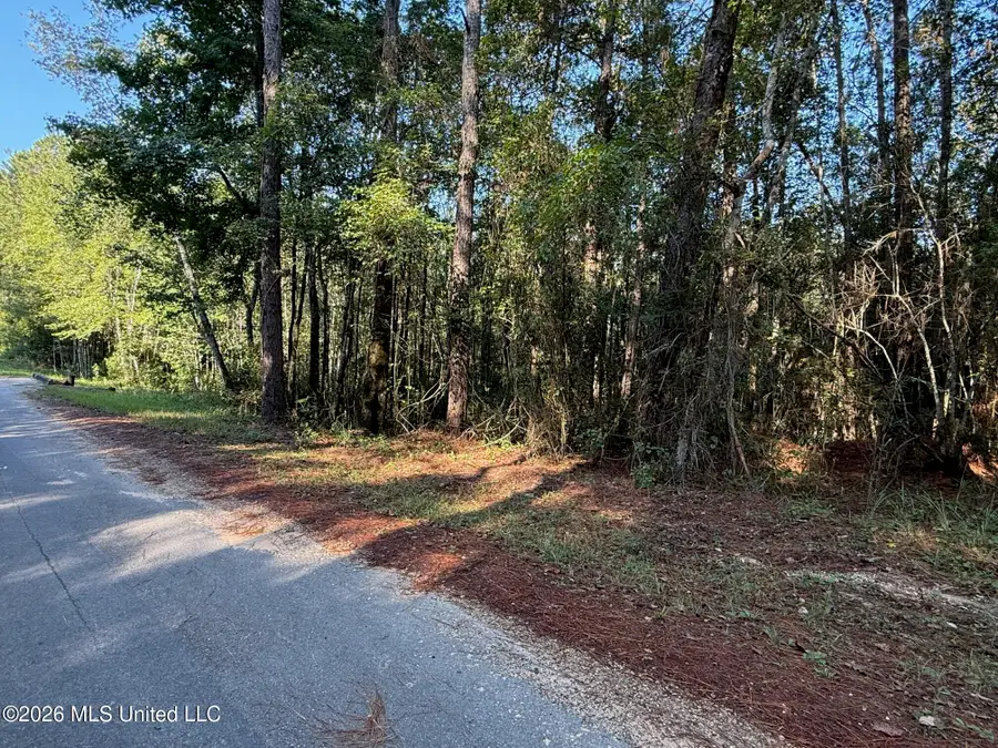 7 +/- Ac Fork Road, Lucedale, MS 39452 - #3