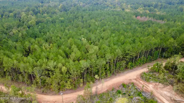 E Bethel Road, Louisville, MS 39339