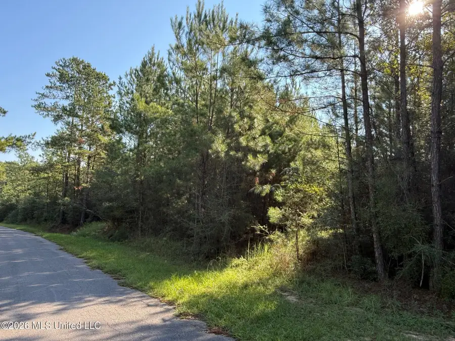 9 +/- Ac Fork Road, Lucedale, MS 39452 - #3