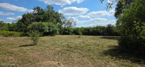 1161 Charlie Rhodus Road, Osyka, MS 39657