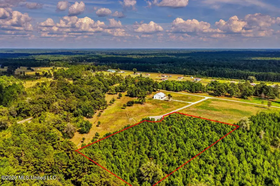 Lot 50 Plantation Circle Drive, Perkinston, MS 39573 - #3