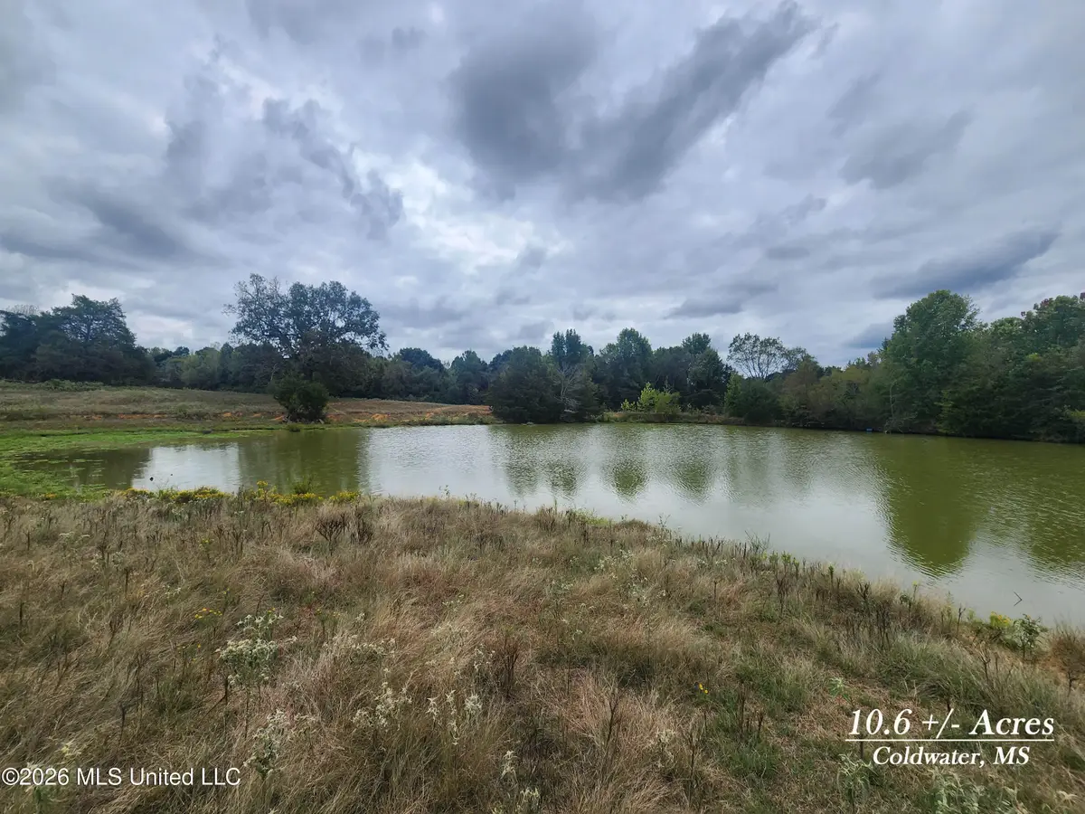 10.61 Old Memphis Oxford Road, Coldwater, MS 38618 - #1
