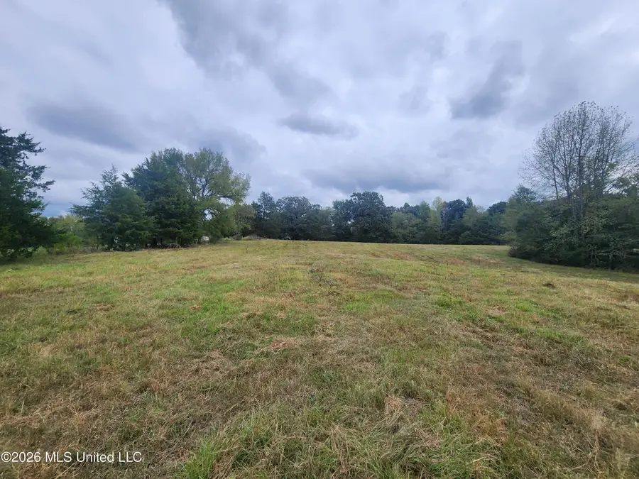 10.61 Old Memphis Oxford Road, Coldwater, MS 38618 - #3