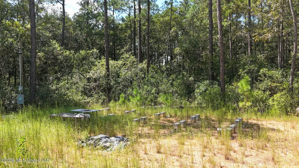 0 Sycamore, Carriere, MS 39426 - #1