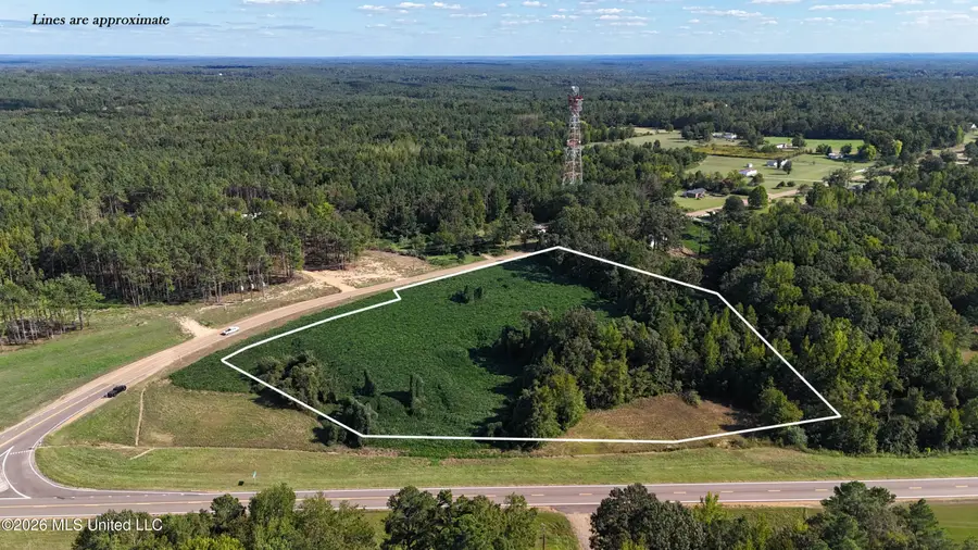 Ms-4, Holly Springs, MS 38635 - #3