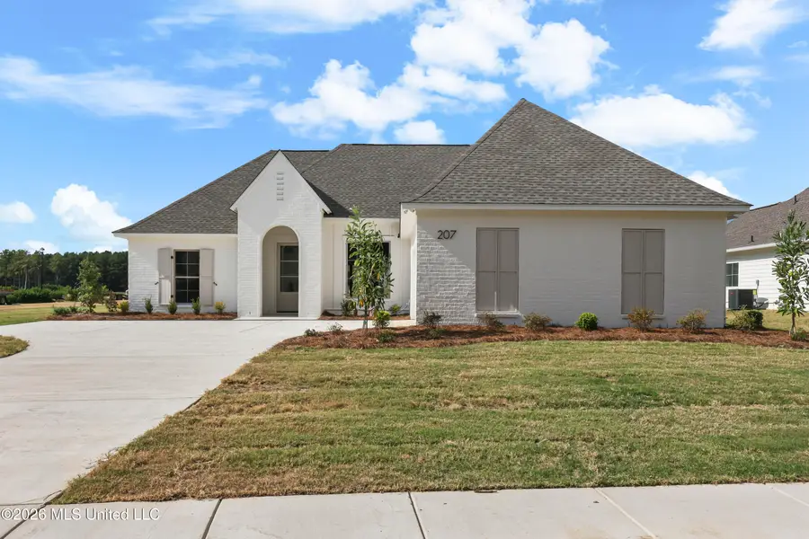 207 Benners Lane, Madison, MS 39110 - #2