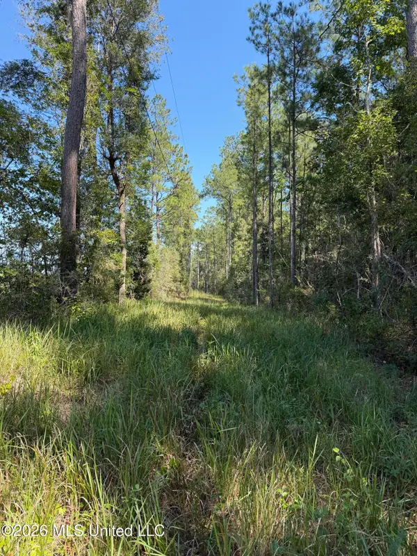 60 Acres Firth Littlefield Road, Lucedale, MS 39452