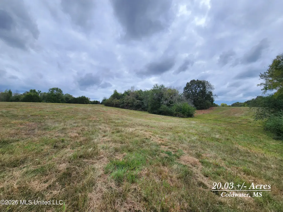20.03 Old Memphis Oxford Road, Coldwater, MS 38618 - #1