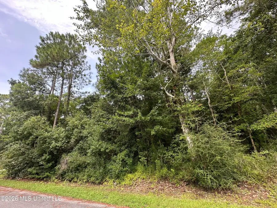 Elizabeth Street, Ocean Springs, MS 39564 - #2