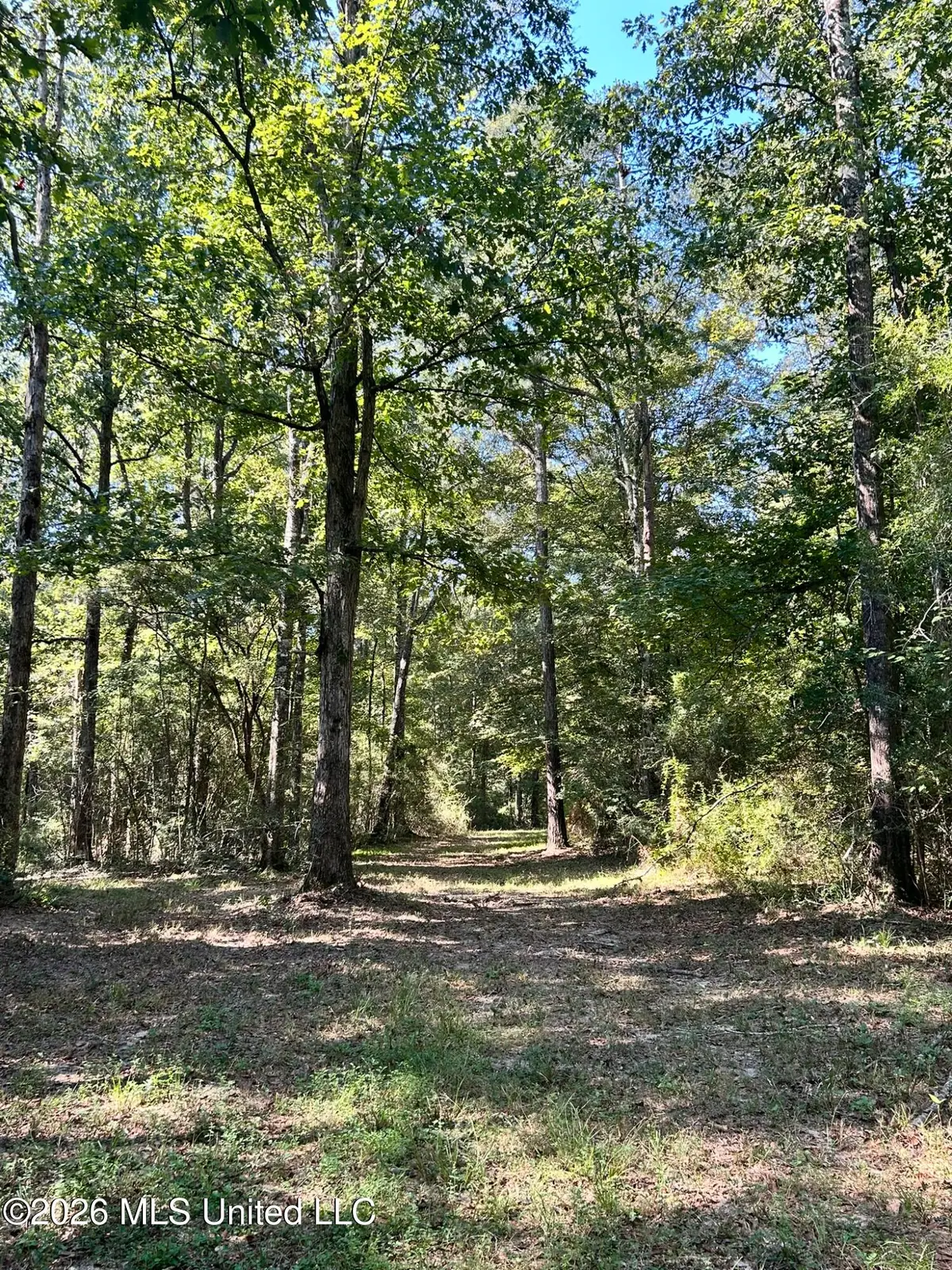 Dickey Mills Road, Magnolia, MS 39652 - #1