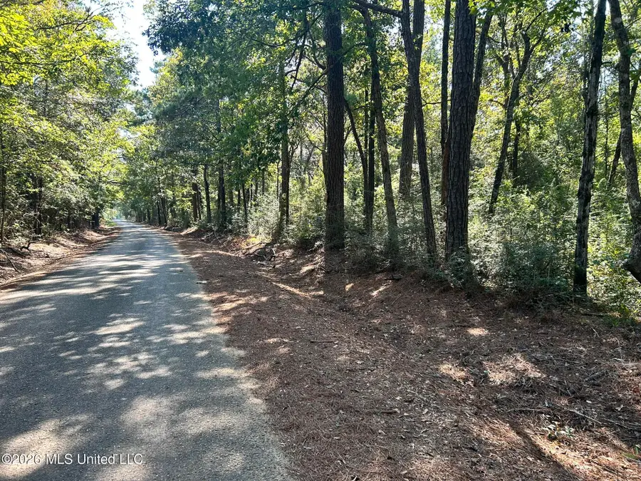 Dickey Mills Road, Magnolia, MS 39652 - #2