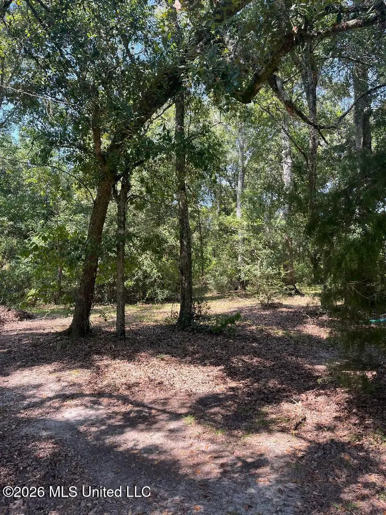 17241 Old Joe Moran Road, Kiln, MS 39556 - #1