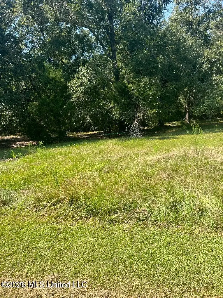 17241 Old Joe Moran Road, Kiln, MS 39556 - #2
