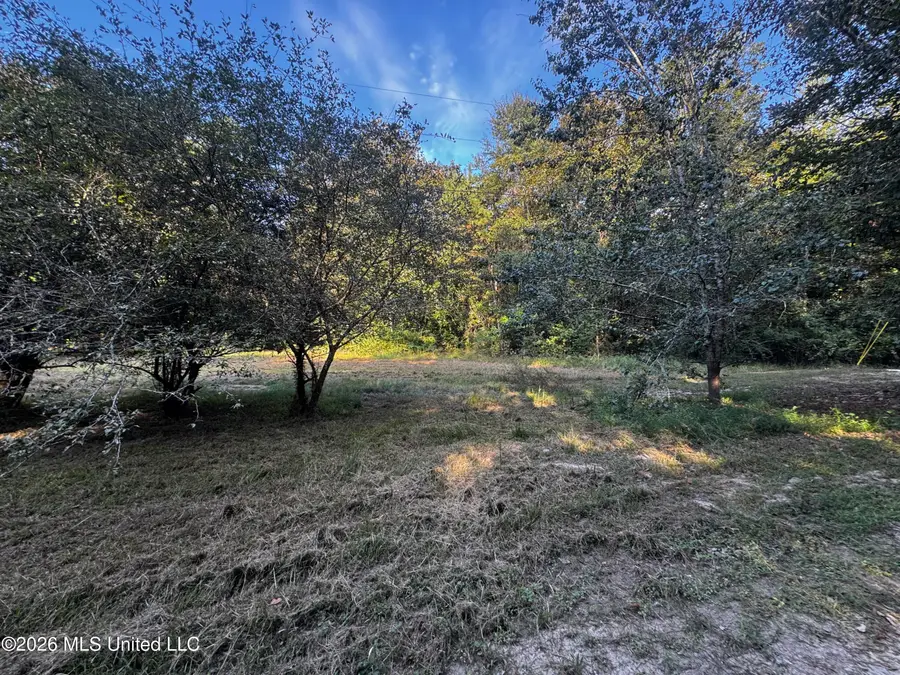 650 Liberty Road, Picayune, MS 39466 - #2