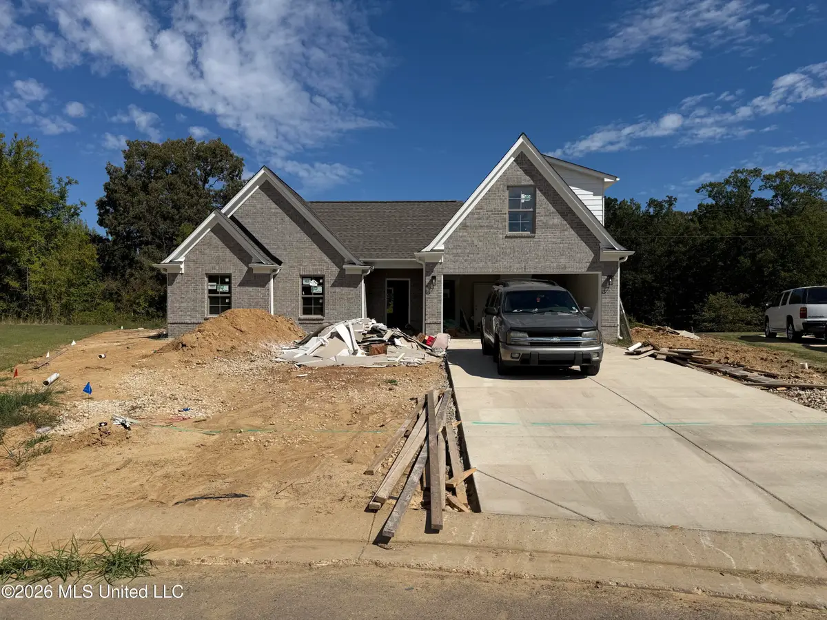 7874 Ella Pointe, Walls, MS 38680 - #1