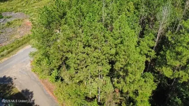 5464b Pecan Orchard Road, Liberty, MS 39645 - #1