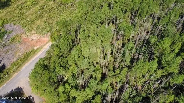 5464b Pecan Orchard Road, Liberty, MS 39645 - #2
