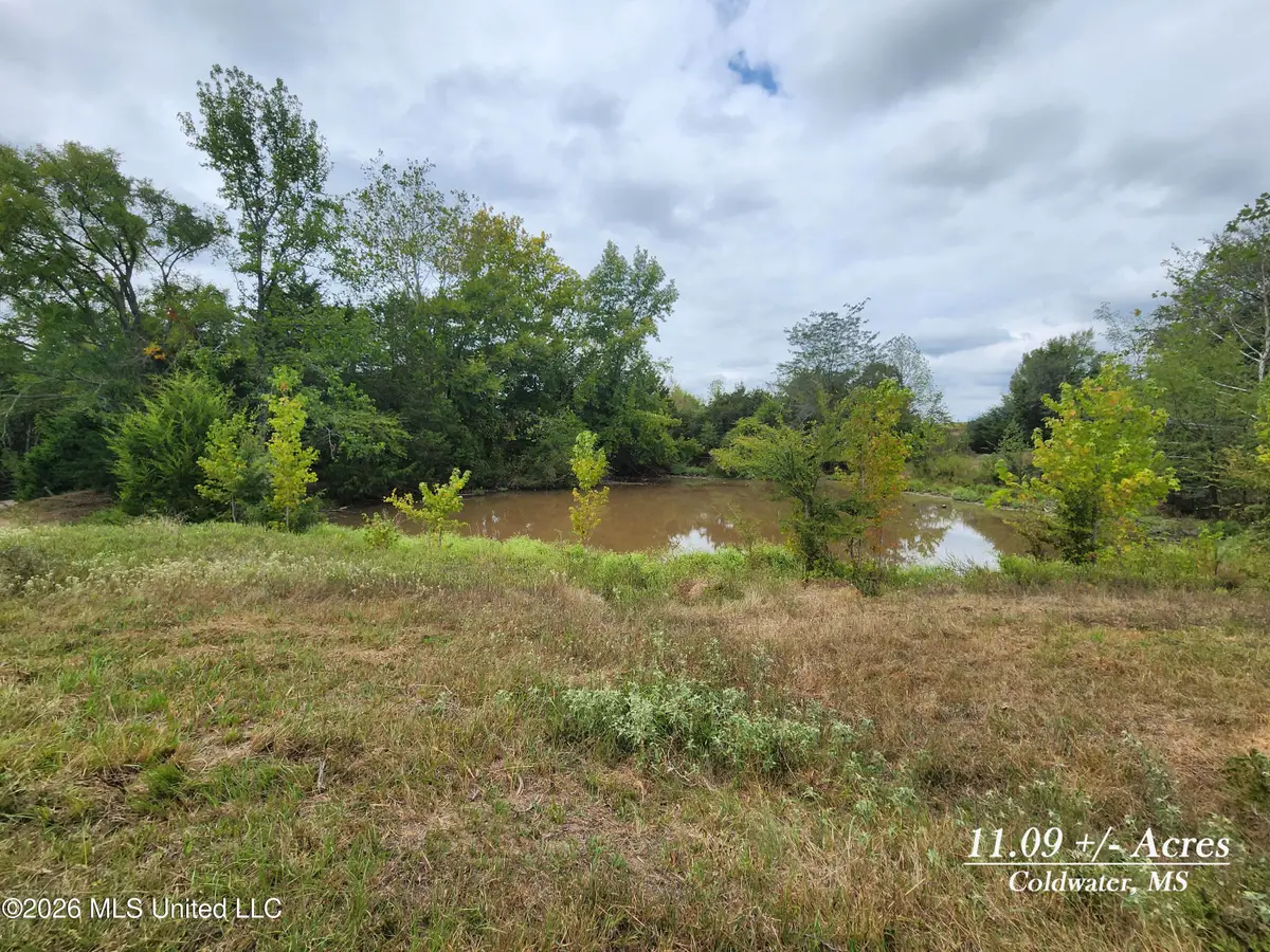 11.09 Bub Jamison Road, Coldwater, MS 38618 - #1