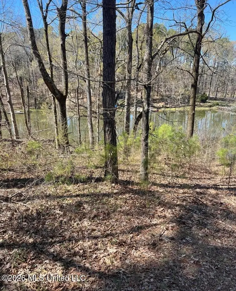 12 Boka Cove, Hernando, MS 38632 - #1
