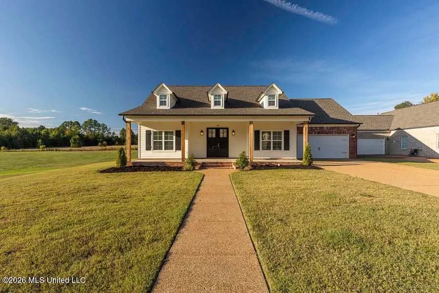 7388 Crosswinds Boulevard, Hernando, MS 38632 - #3