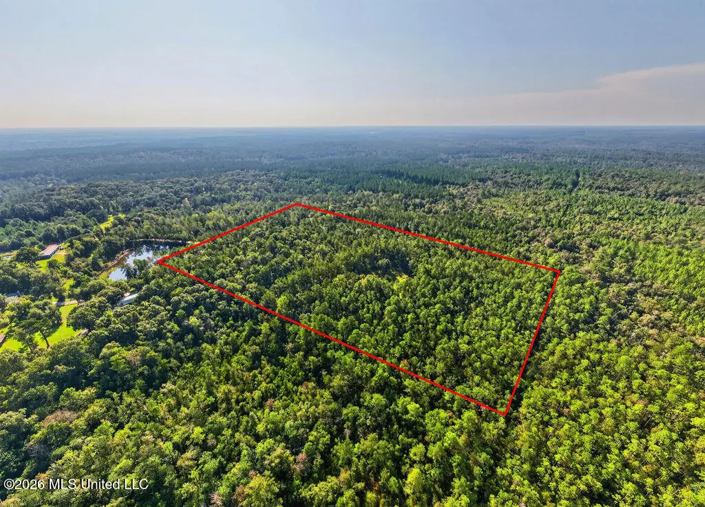 17 +/- Ac Burnis Havard Road, Perkinston, MS 39573 - #1