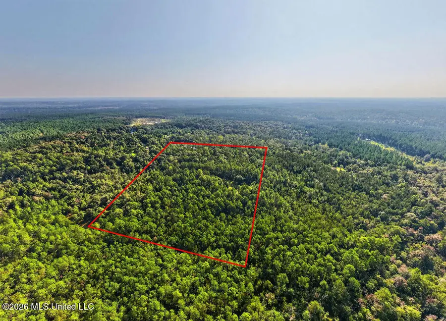17 +/- Ac Burnis Havard Road, Perkinston, MS 39573 - #2