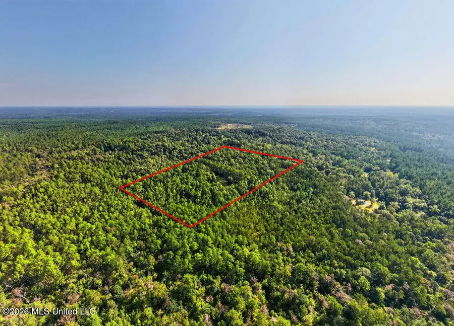 17 +/- Ac Burnis Havard Road, Perkinston, MS 39573 - #3