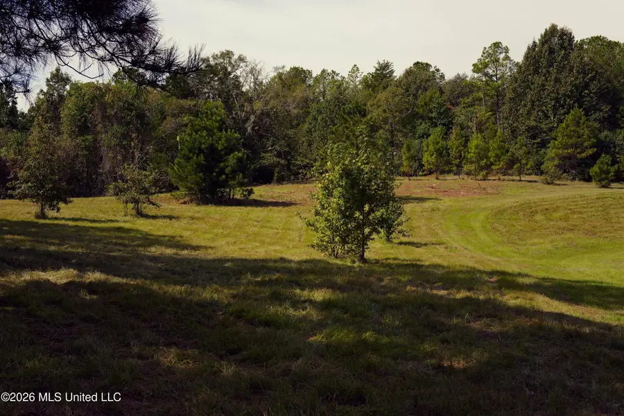 00 Ratliff Rd Road, Raymond, MS 39154 - #3