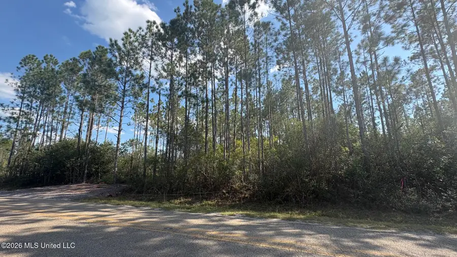 Herman Ladner Road, Saucier, MS 39574 - #2