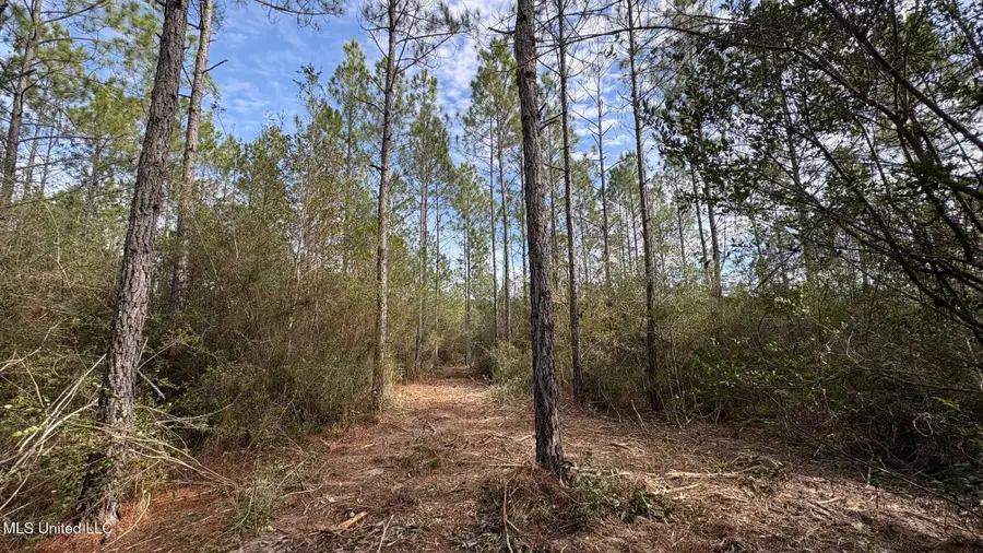 Herman Ladner Road, Saucier, MS 39574 - #3