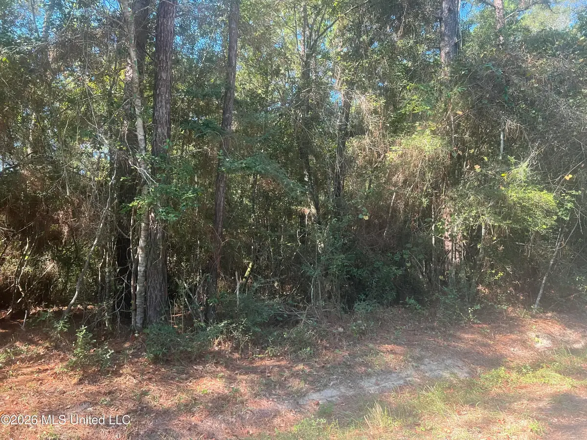 Darling Road, Pass Christian, MS 39571 - #1
