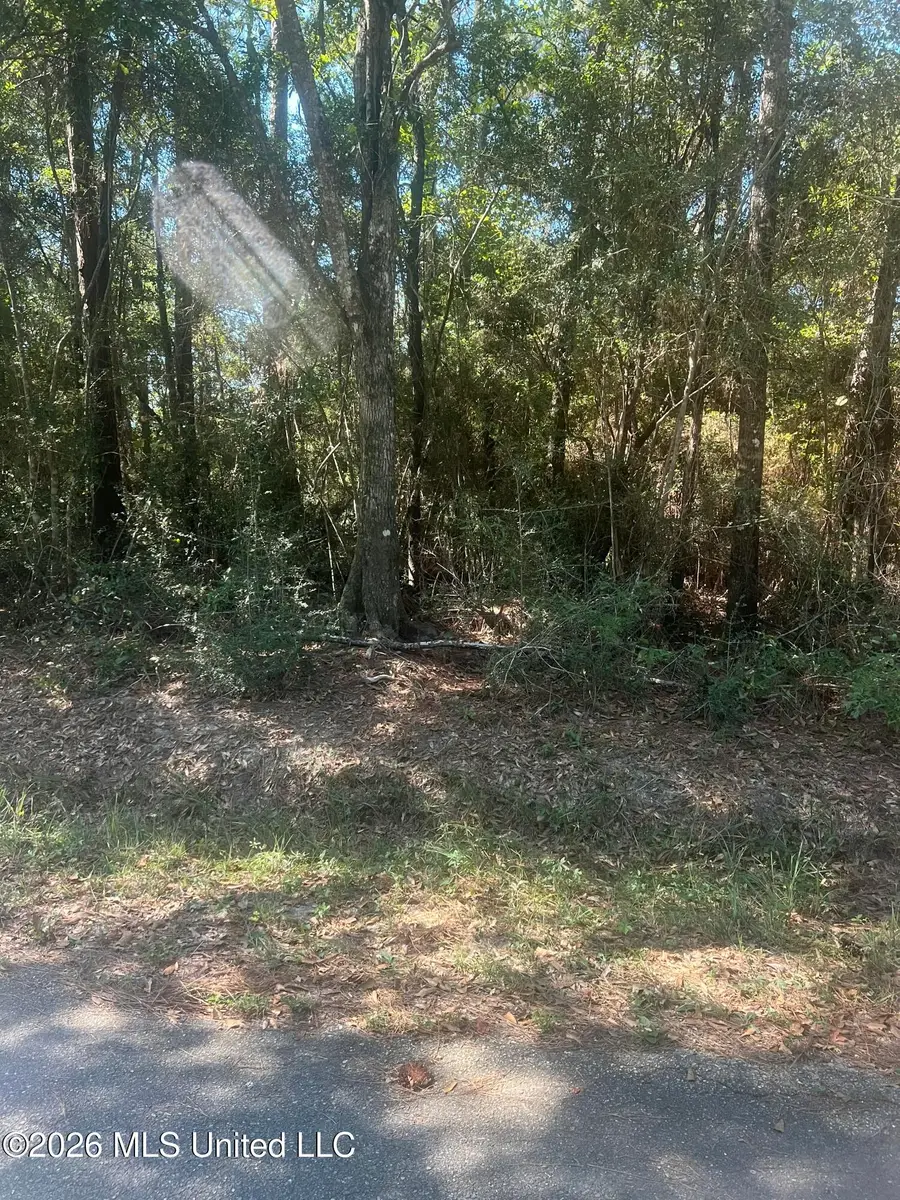 Darling Road, Pass Christian, MS 39571 - #3