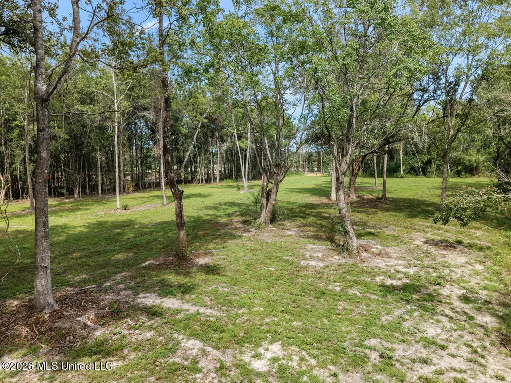 Salem Road, Picayune, MS 39466 - #1
