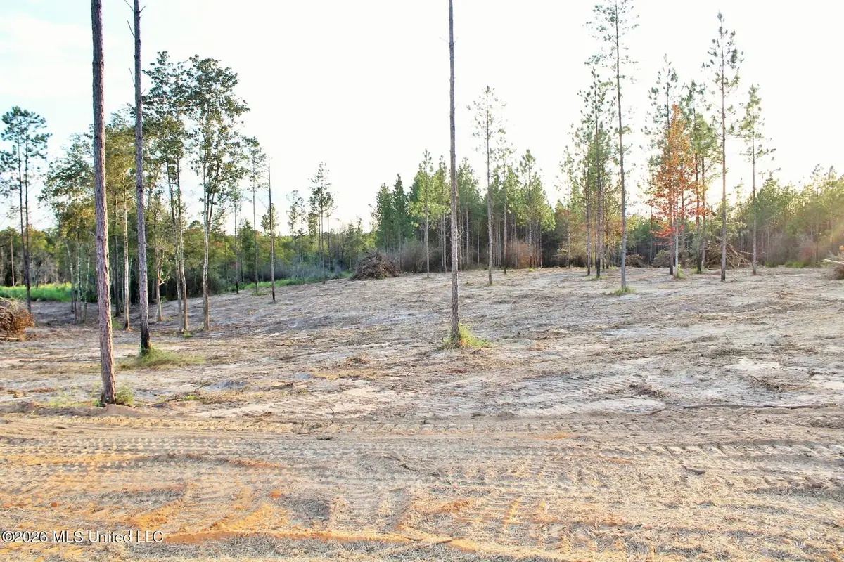 Lot 18 Little Cedar Road, Lucedale, MS 39452 - #1