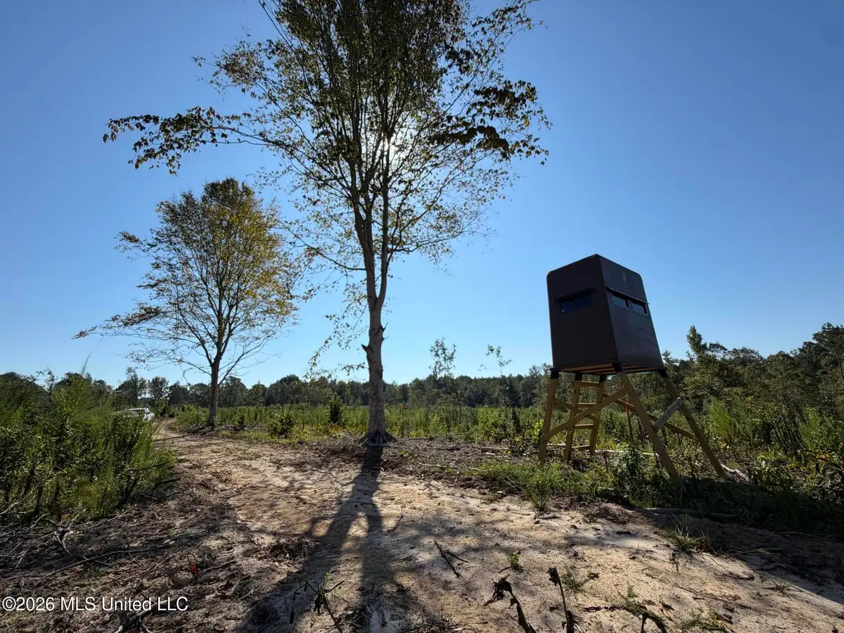 Cauthen Road, Camden, MS 39045 - #1