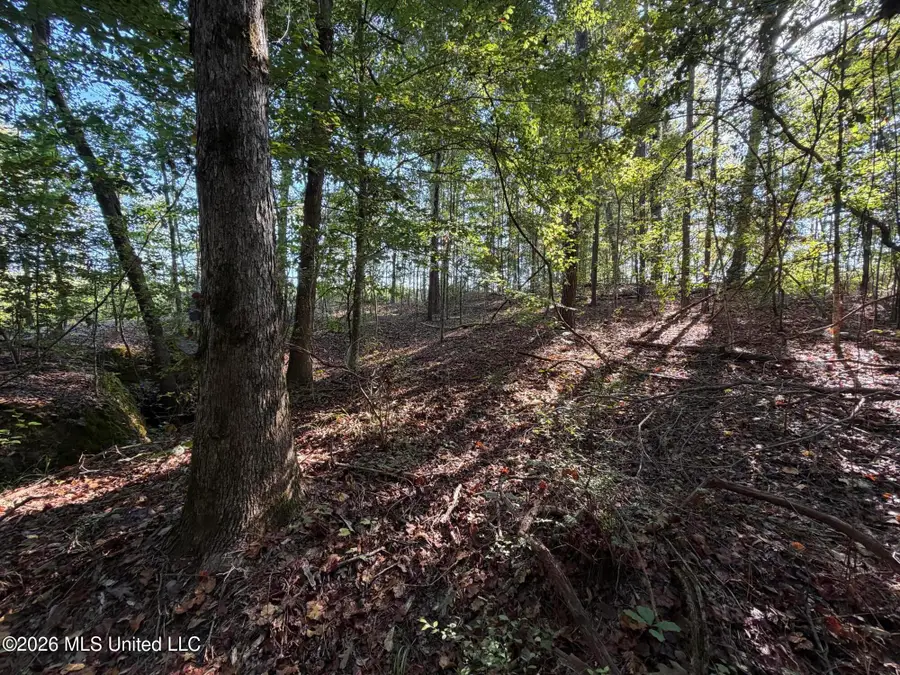 Cauthen Road, Camden, MS 39045 - #2