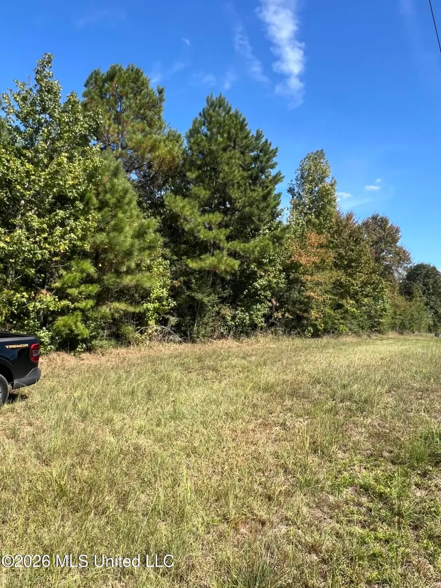 Matthews Road, Tylertown, MS 39667 - #2
