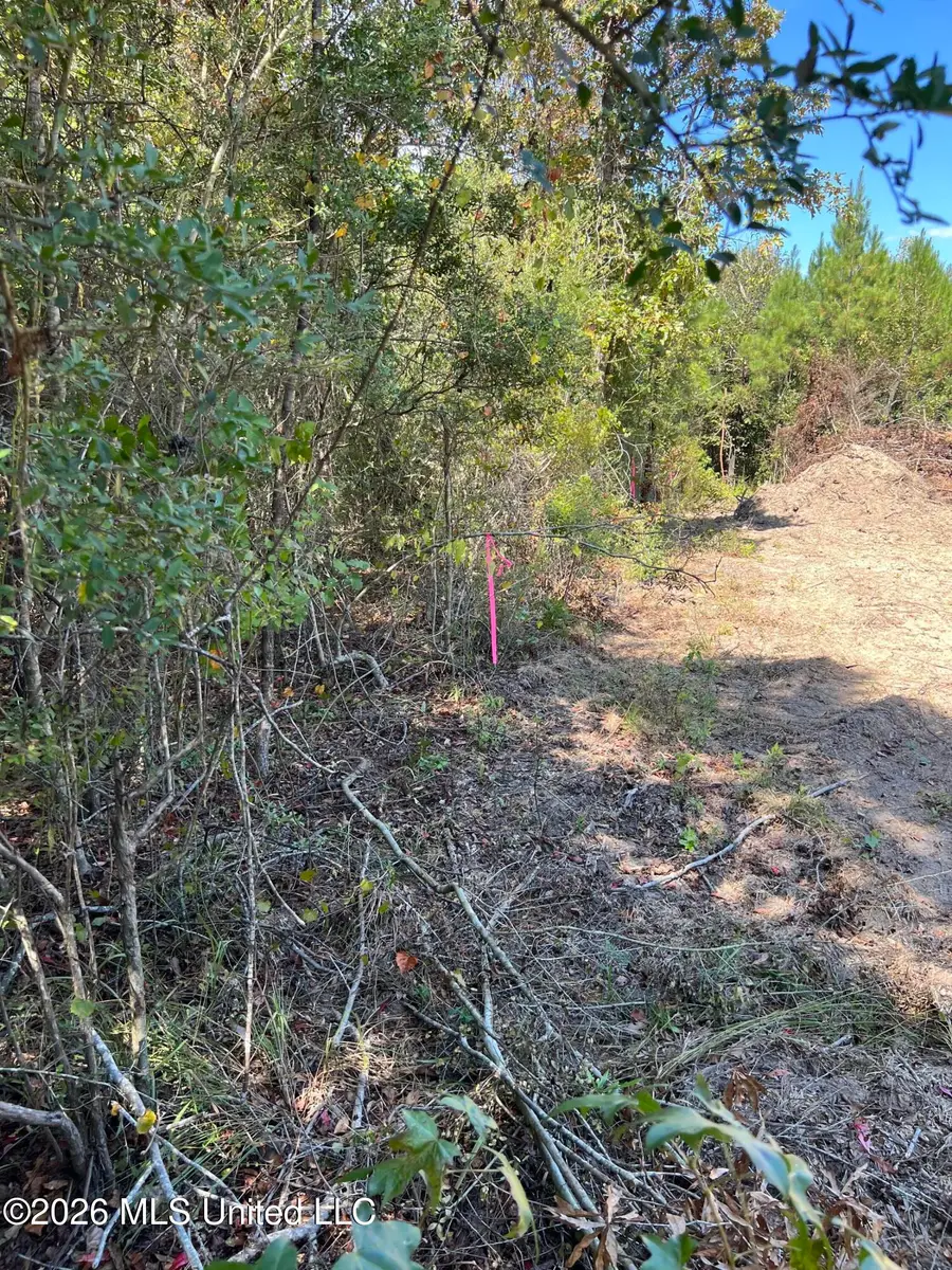 Matthews Road, Tylertown, MS 39667 - #3
