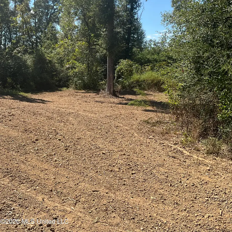 4433 Samuel Lane, Gloster, MS 39638 - #2